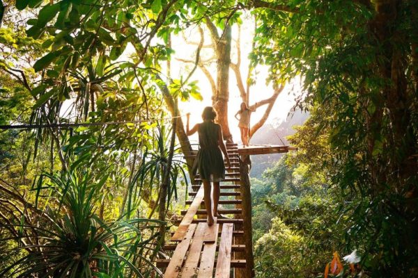 pexels-fmaderebner-238631